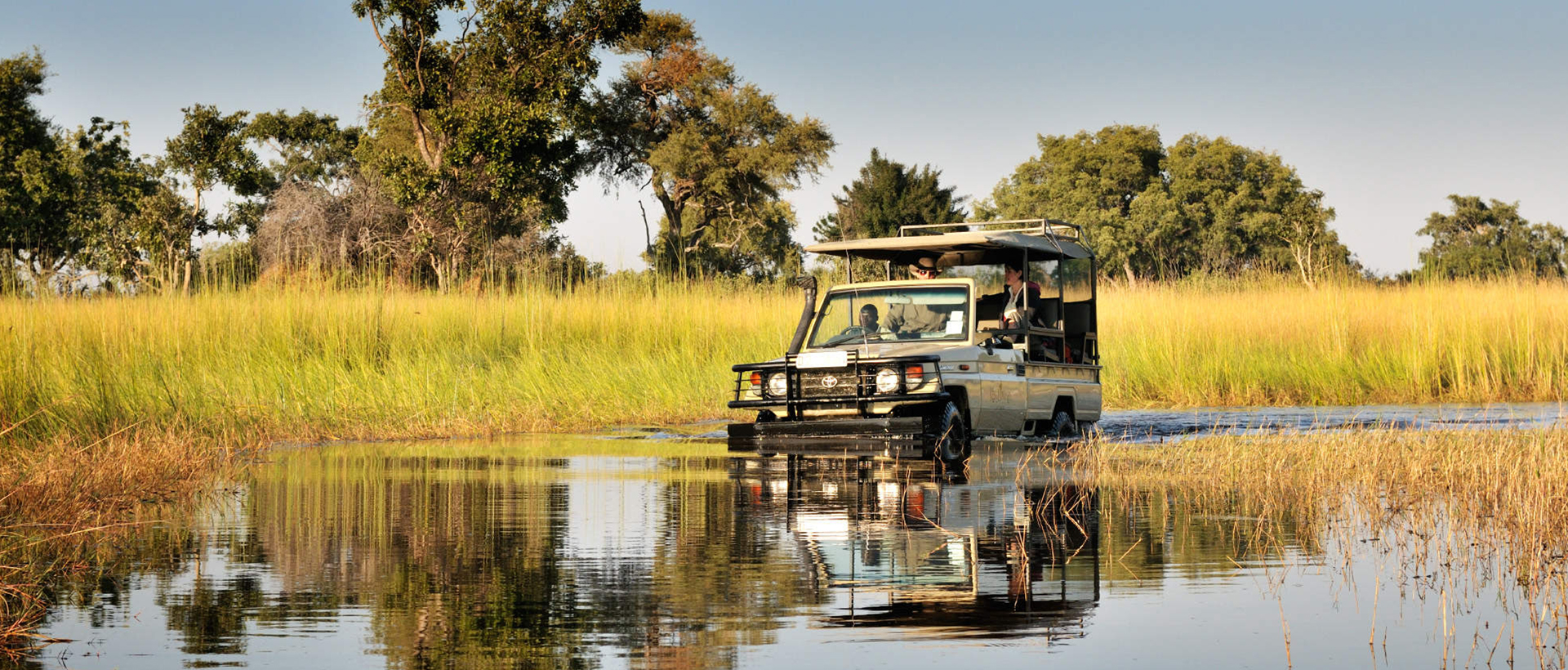 Falcon Safari Banner