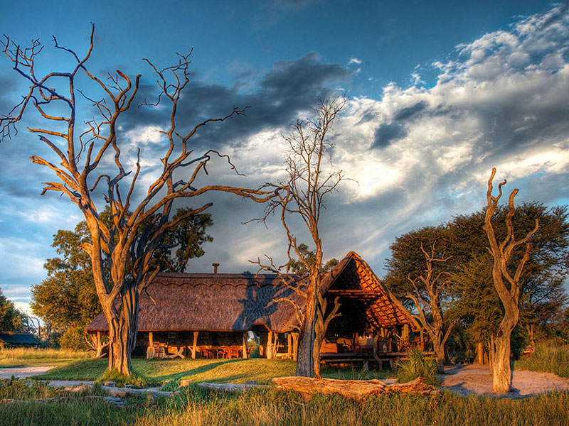 Bomani Tented Camp