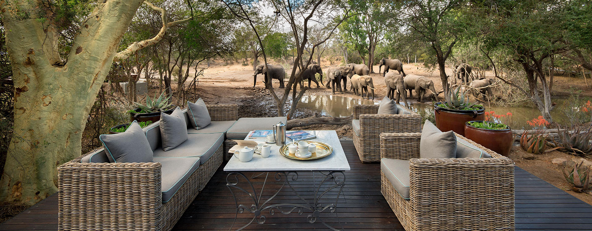 &Beyond Ngala Safari Lodge