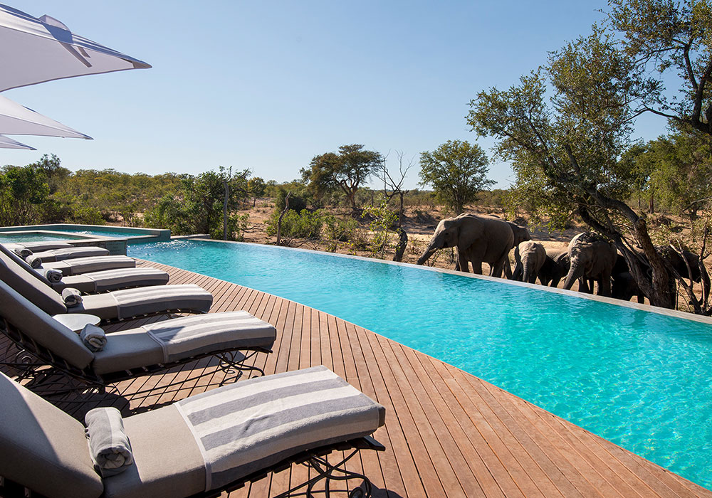 &Beyond Ngala Safari Lodge