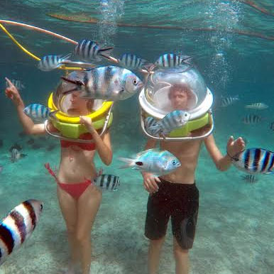 1 Day Adventure Underwater