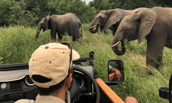 1 Day Safari Adventure