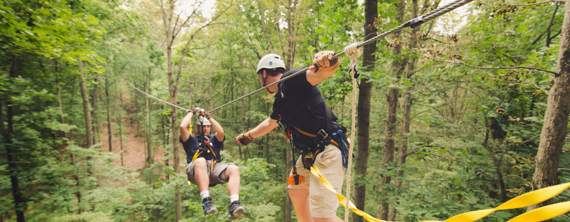 1 Day Zip Line and Lion Walks