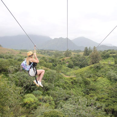 1 Day Zip Line and Lion Walks