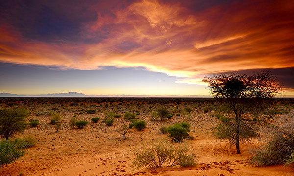 10 Days Thirstlands of the Kalahari