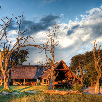 10 Day Amur Falcon Safaris Premium