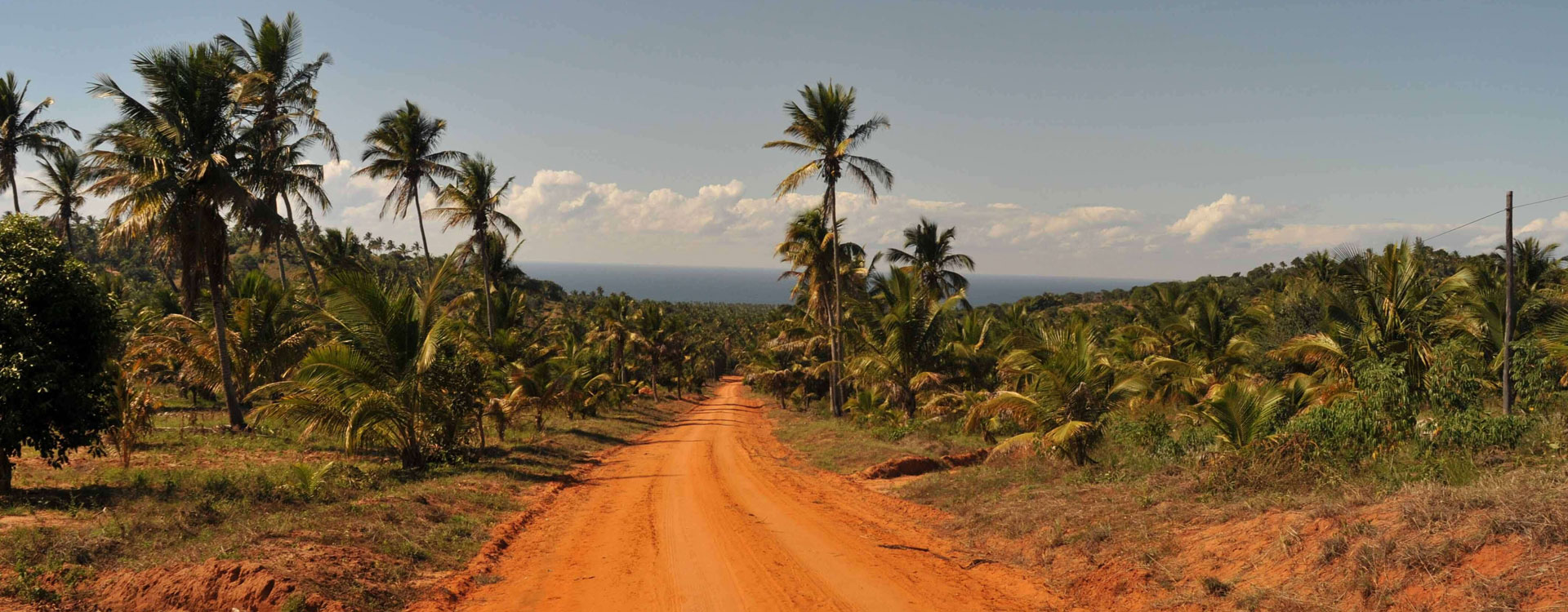 10 Day Kruger Park Safari and Mozambique Beach Holiday