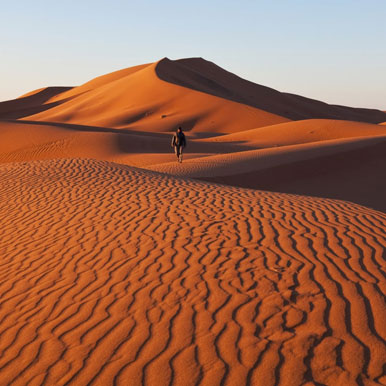 10 Day Namibia Highlights Safari