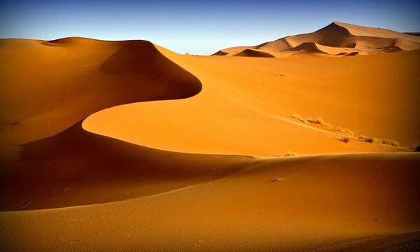 10 Day Namibia Highlights Safari