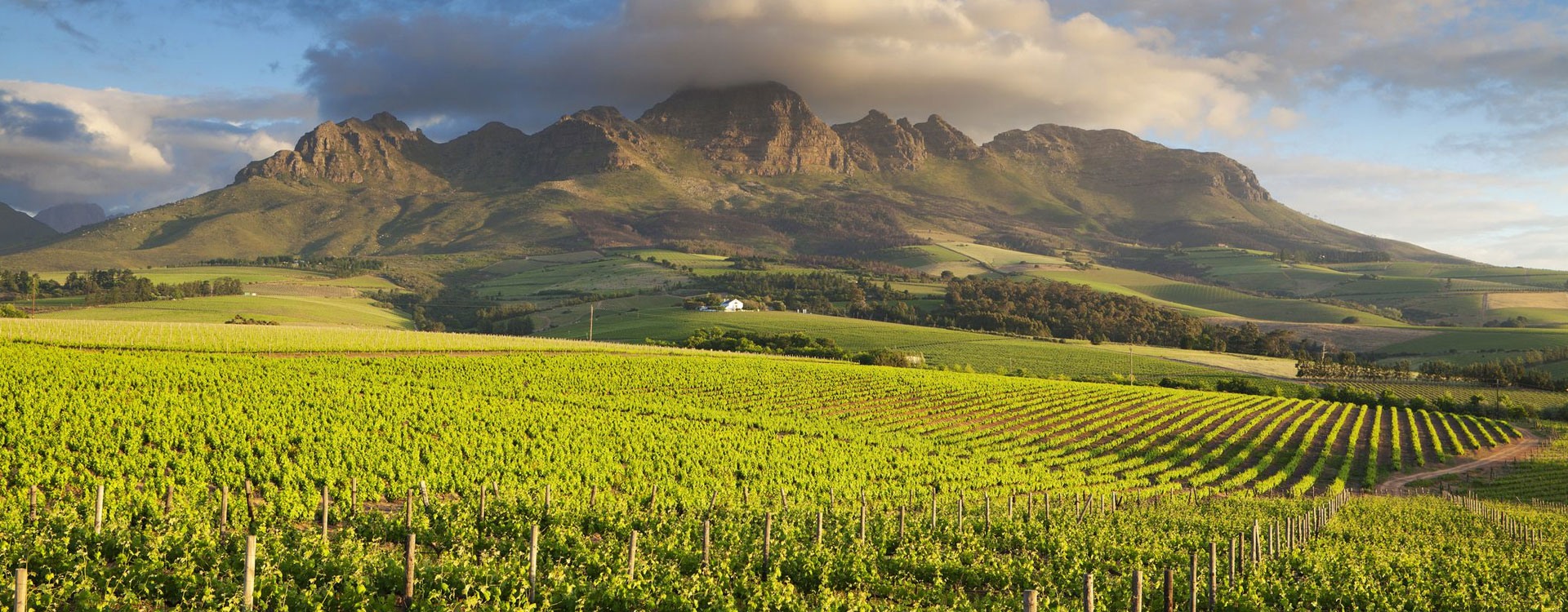 10 Days Cape Town and Mpumalanga