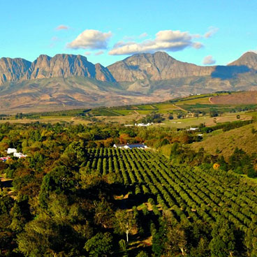 10 Days Cape Town and Mpumalanga