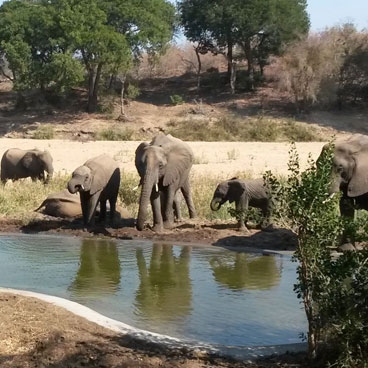 10 Days Cape Town and Mpumalanga