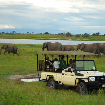 12 Days Romantic Choice - Falcon Safari