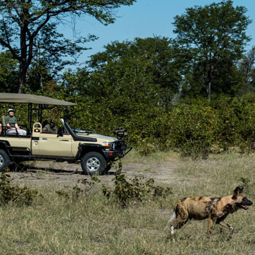 10 Day Chobe to Okavango Delta