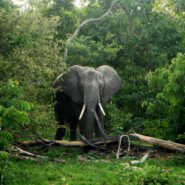 10 Days Exclusive Tanzania Wilderness Adventure