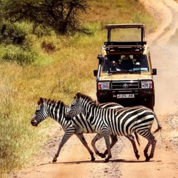 10 Days Exploring Paths Less Travelled Safari Tour