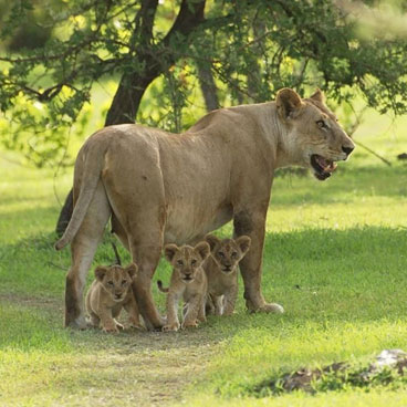 10 Days Exploring Paths Less Travelled Safari Tour