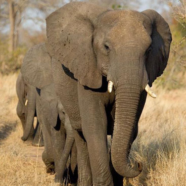 10 Days Exploring Paths Less Travelled Safari Tour