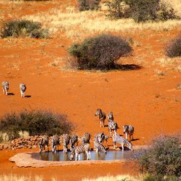 10 Day Footsteps of the Explorers