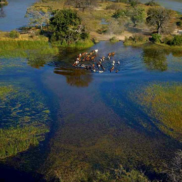 10 Day Footsteps of the Explorers
