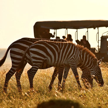 10 Day Footsteps of the Explorers
