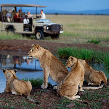10 Days Remote Bush and Beach Honeymoon Escape