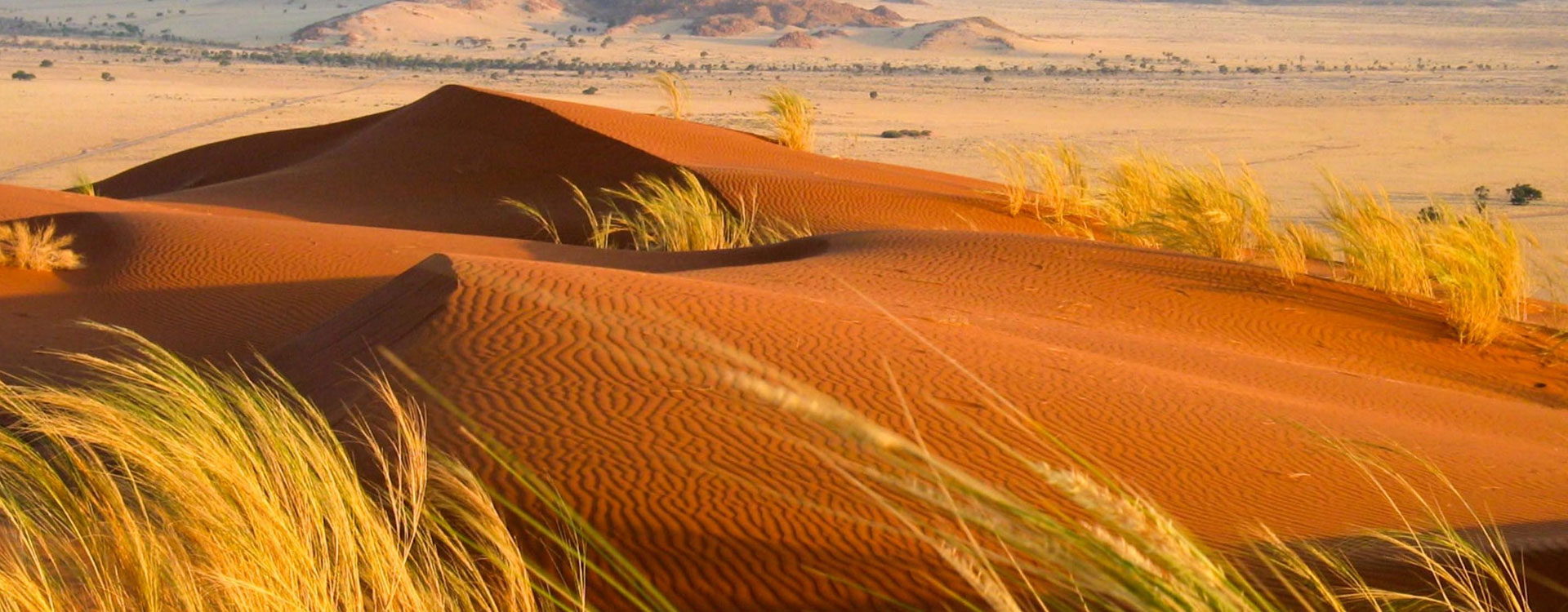 11 Day African Wildlife Adventure