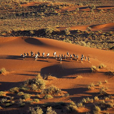 11 Day African Wildlife Adventure