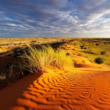 11 Day African Wildlife Adventure