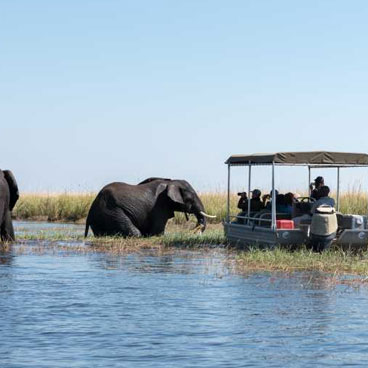 11 Day African Wildlife Adventure