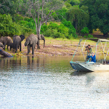 9 Nights Botswana Highlights