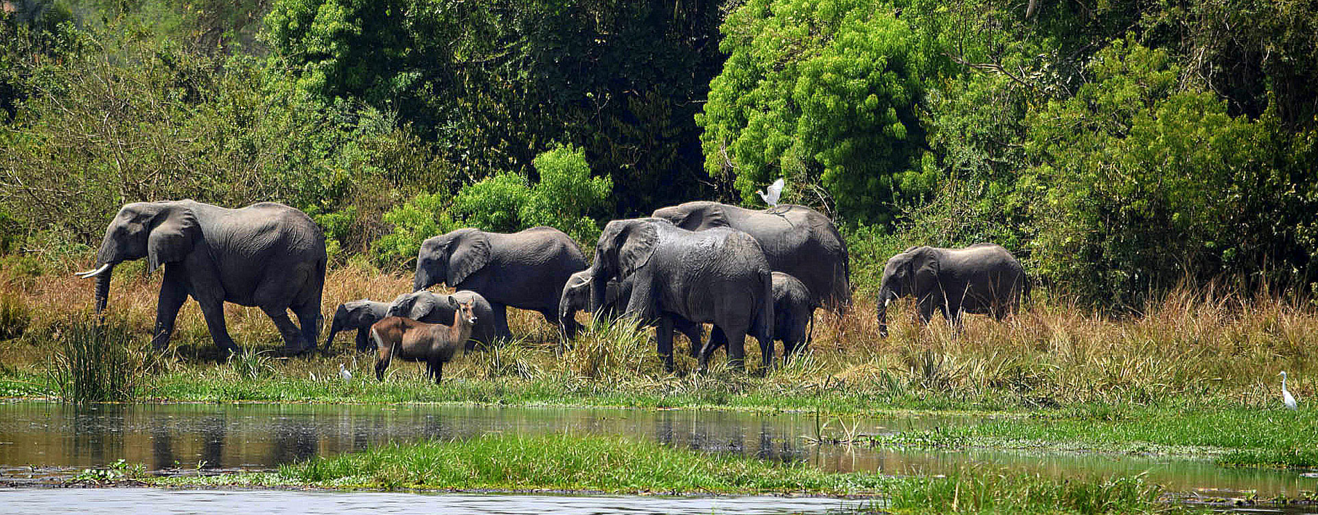 10 Days Uganda Safari