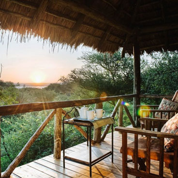 10 Days Walk on the Wildside Safari