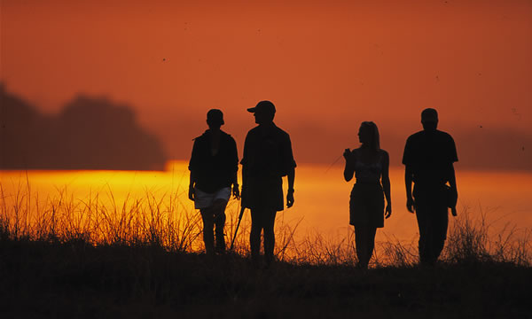 10 Day Walk on the Wildside Safari