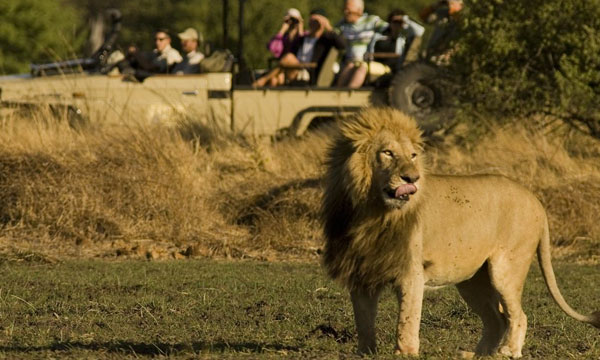 11 Days Out of Africa