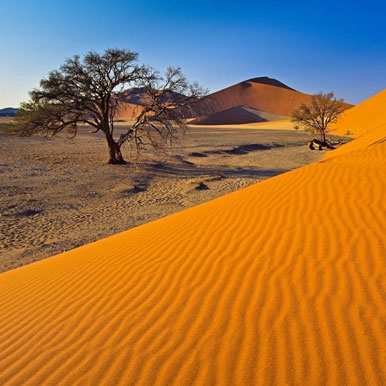 11 Day Dust Of Beautiful Africa