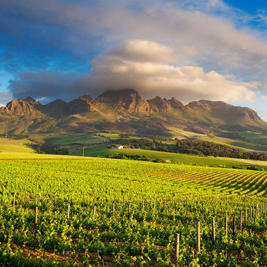 11 Day Self Drive Cape Town and Fancourt Golf Holiday