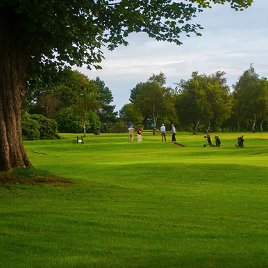 11 Day Self Drive Cape Town and Fancourt Golf Holiday