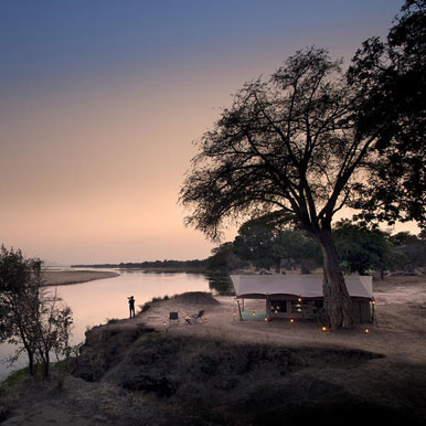 11 Day Sooty Falcon Safaris