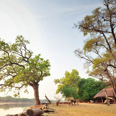 11 Day South Luangwa Madagascar Tour