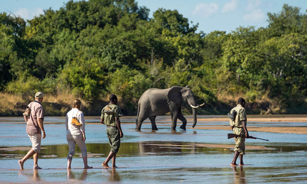 11 Day South Luangwa Madagascar Tour