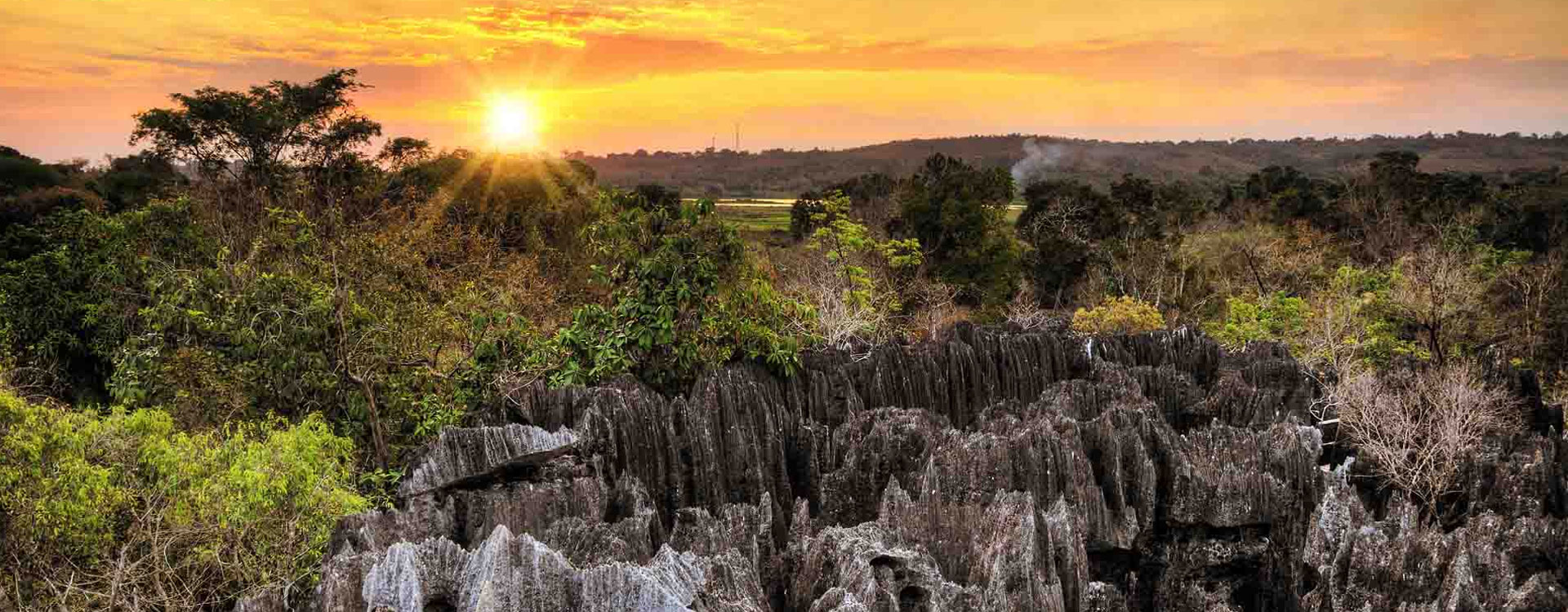 11 Day Southern Madagascar Tour