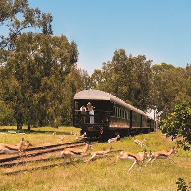 11 Day Southern Madagascar Tour