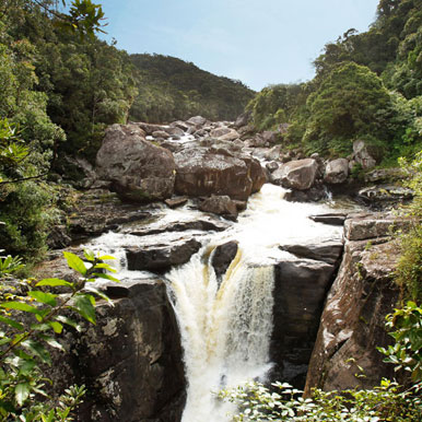 11 Day Southern Madagascar Tour