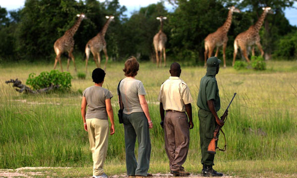 11 Day Southern Madagascar Tour