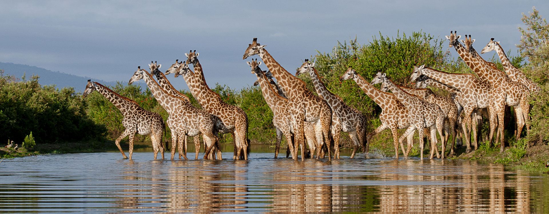 11 Days Bush and Island Safari