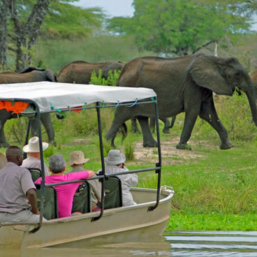 11 Days Bush and Island Safari
