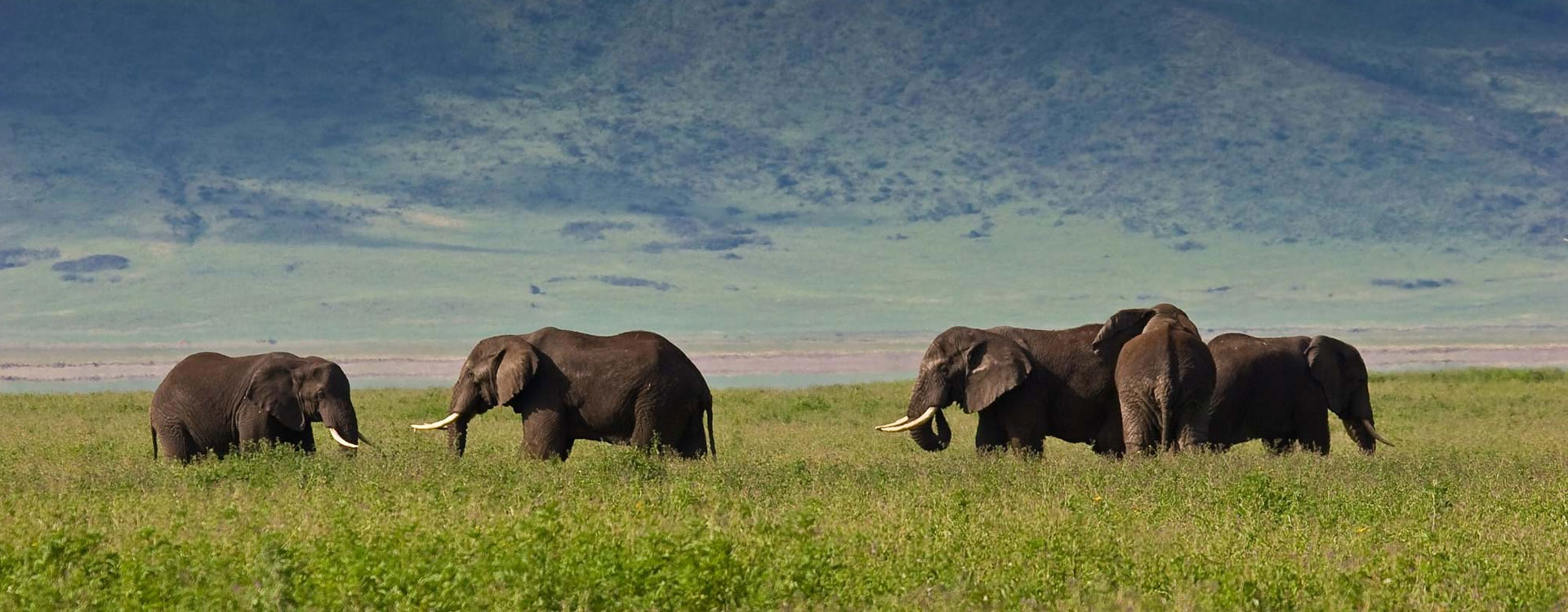 11 Days Classic Tanzania Safari
