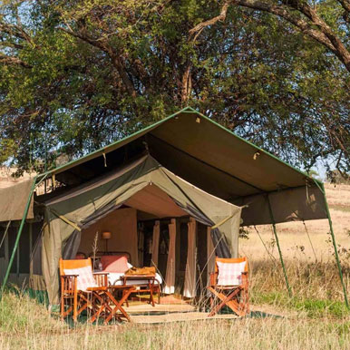 11 days Okavango Horseback Safaris