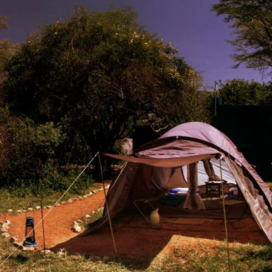 11 days Okavango Horseback Safaris